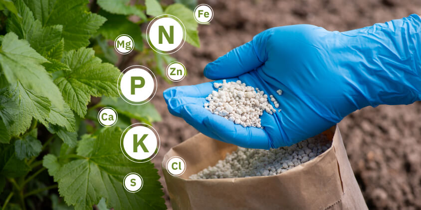 Fertilizer Supply